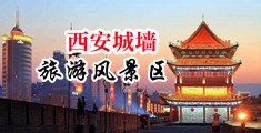 淫色网站五月中国陕西-西安城墙旅游风景区